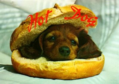 Hot Dog